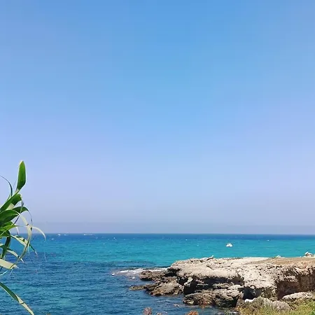 Gasthof La Terrazza Sul Mare Vicino Aereoporto&mare Sicilian Vintage Style Seaside 3*